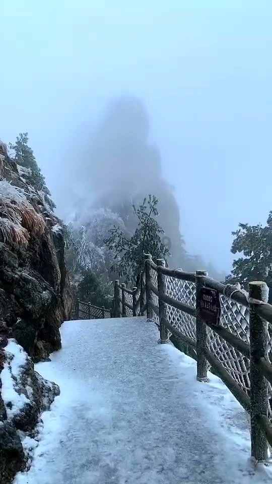 虫虫助手下载