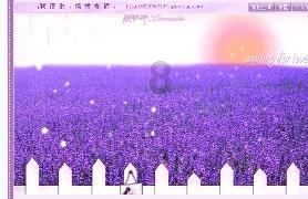 探索知识星球平台无反相机是不是微单?,解锁无限知识之门