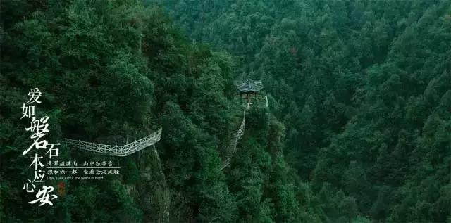 鲜牛肉怎么做好吃又嫩-专业问答网站,解答你的疑问